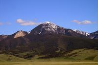 Baldy sm