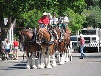 Parade
